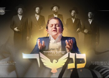 ילד הפלא על גלגלים ישראל גולדרייך מחדש את 'כנשר'