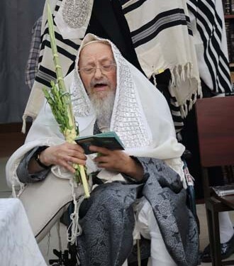 סוכות בחצר הקודש קאליש בבית שמש