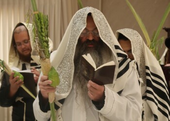 הושענא רבא בחצה"ק סטערליסק בבית-שמש