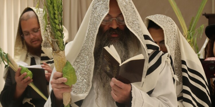 הושענא רבא בחצה"ק סטערליסק בבית-שמש