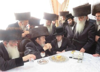 מרן האדמו"ר מויז'ניץ ערך מסיבת לחיים בסוכתו ל'הויז בחור'