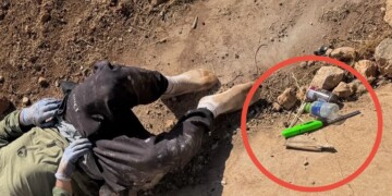 מחבל נוטרל ונפצע כשניסה לעשות פיגוע בחוות חנניה
