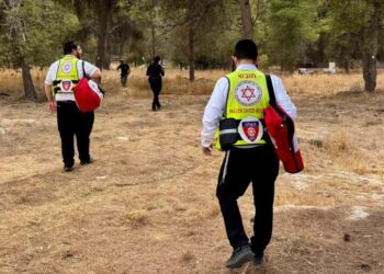 צוותי מד״א – הצלה אלעד מאבטחים את טיפול הנפל ביער הסמוך