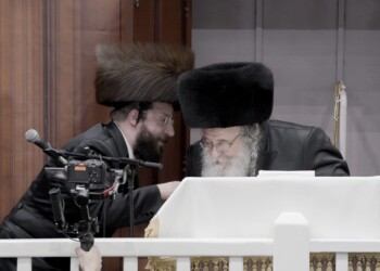 ציר שלומי אמונים-בעלזא מתחזק עם תמיכת הרב שאול אלתר